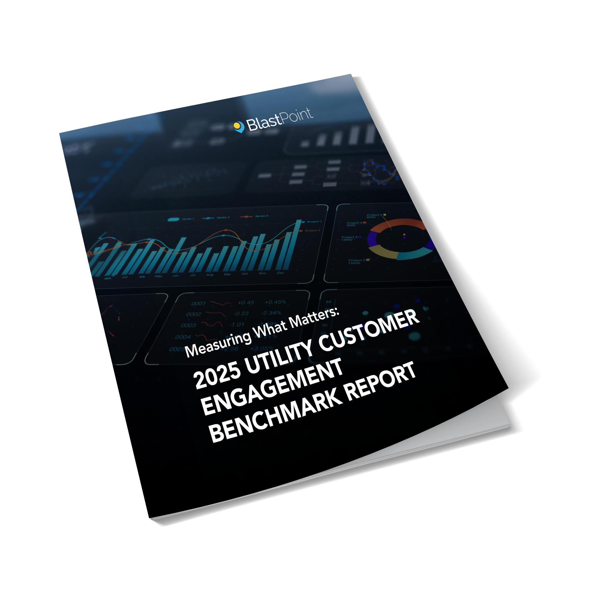 White Paper: 2025 Utility Benchmark Report
