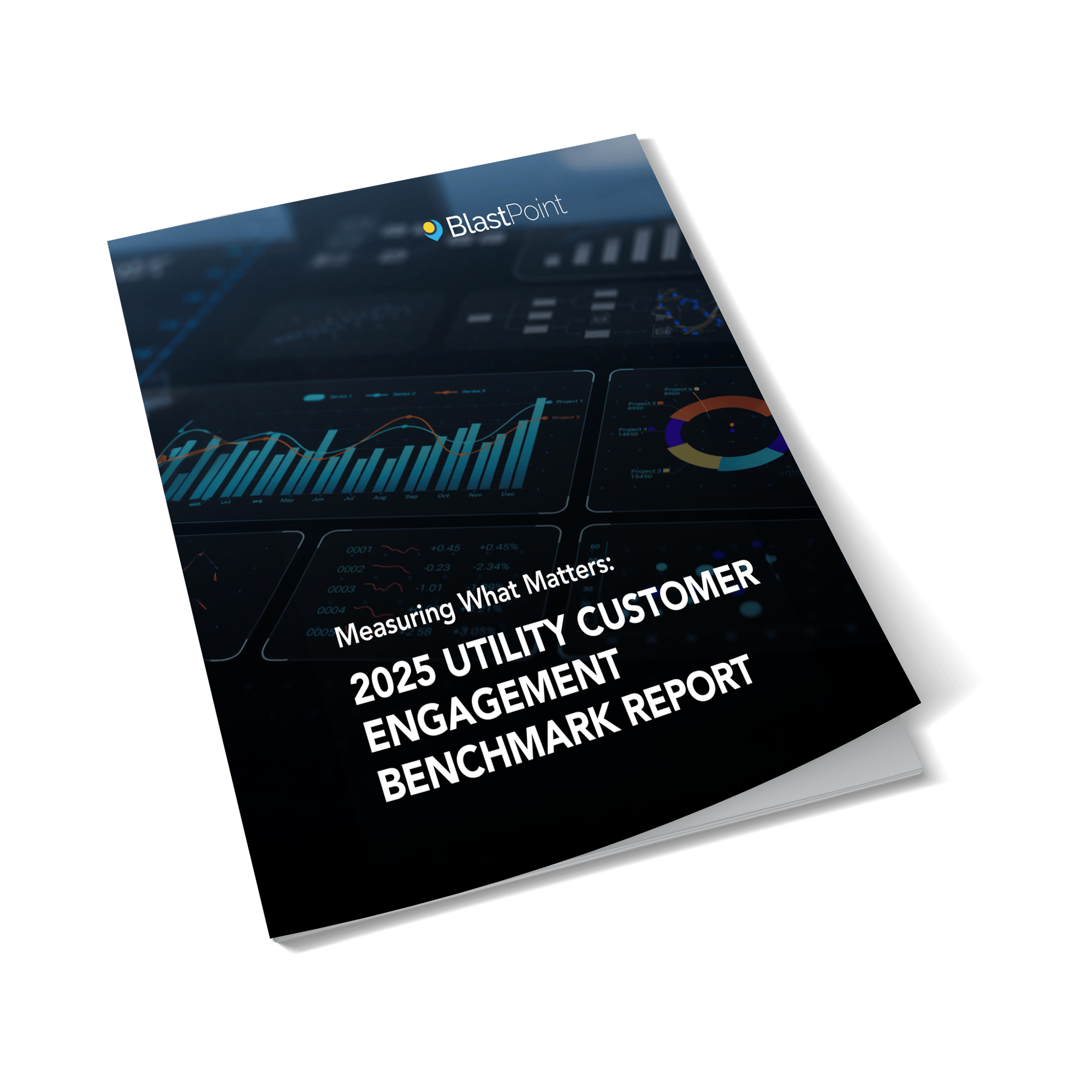 2025 Utility Benchmark Report 2025 Utility Benchmark Report