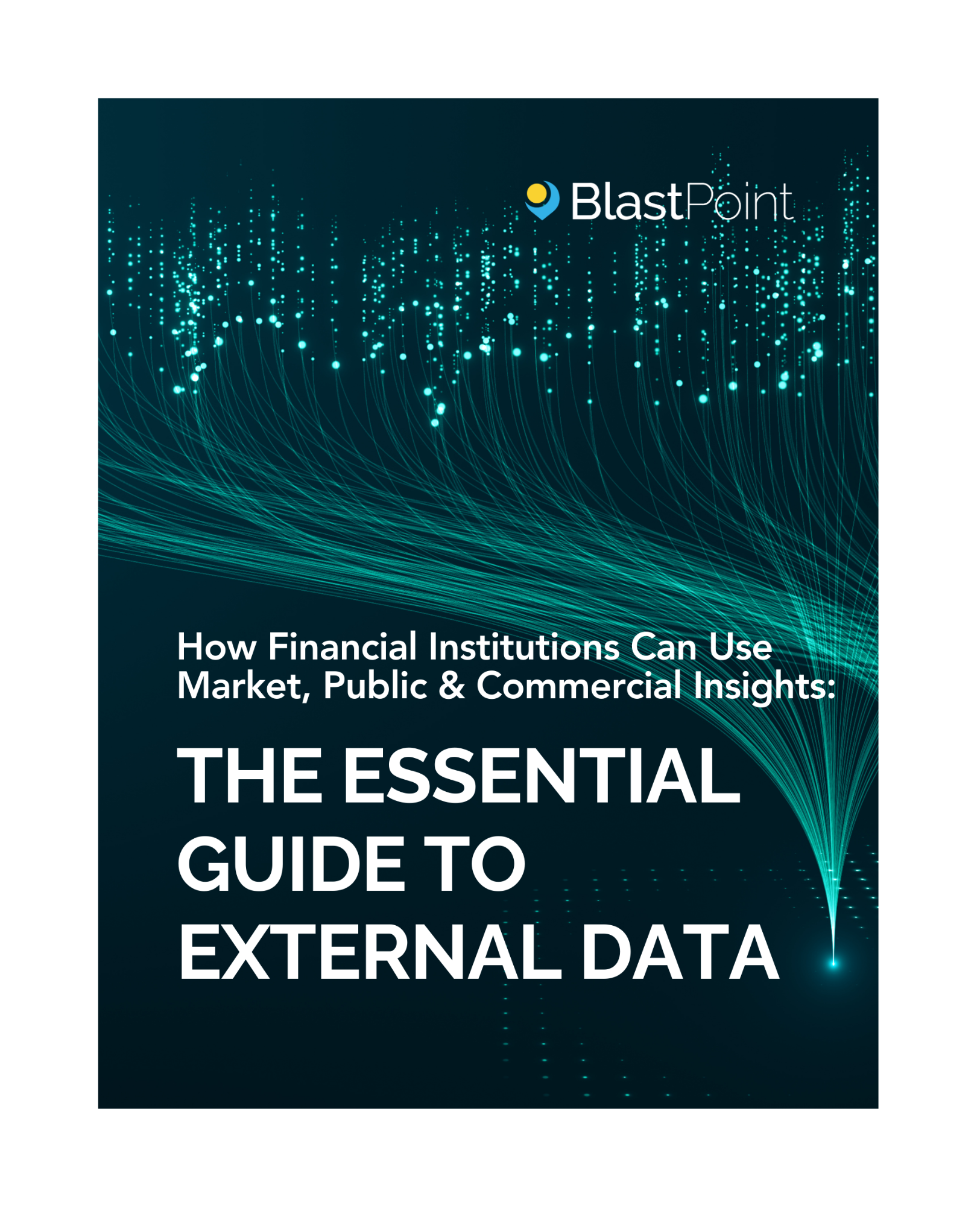 The essential guide to external data
