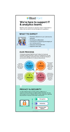Working with IT Team Infographic