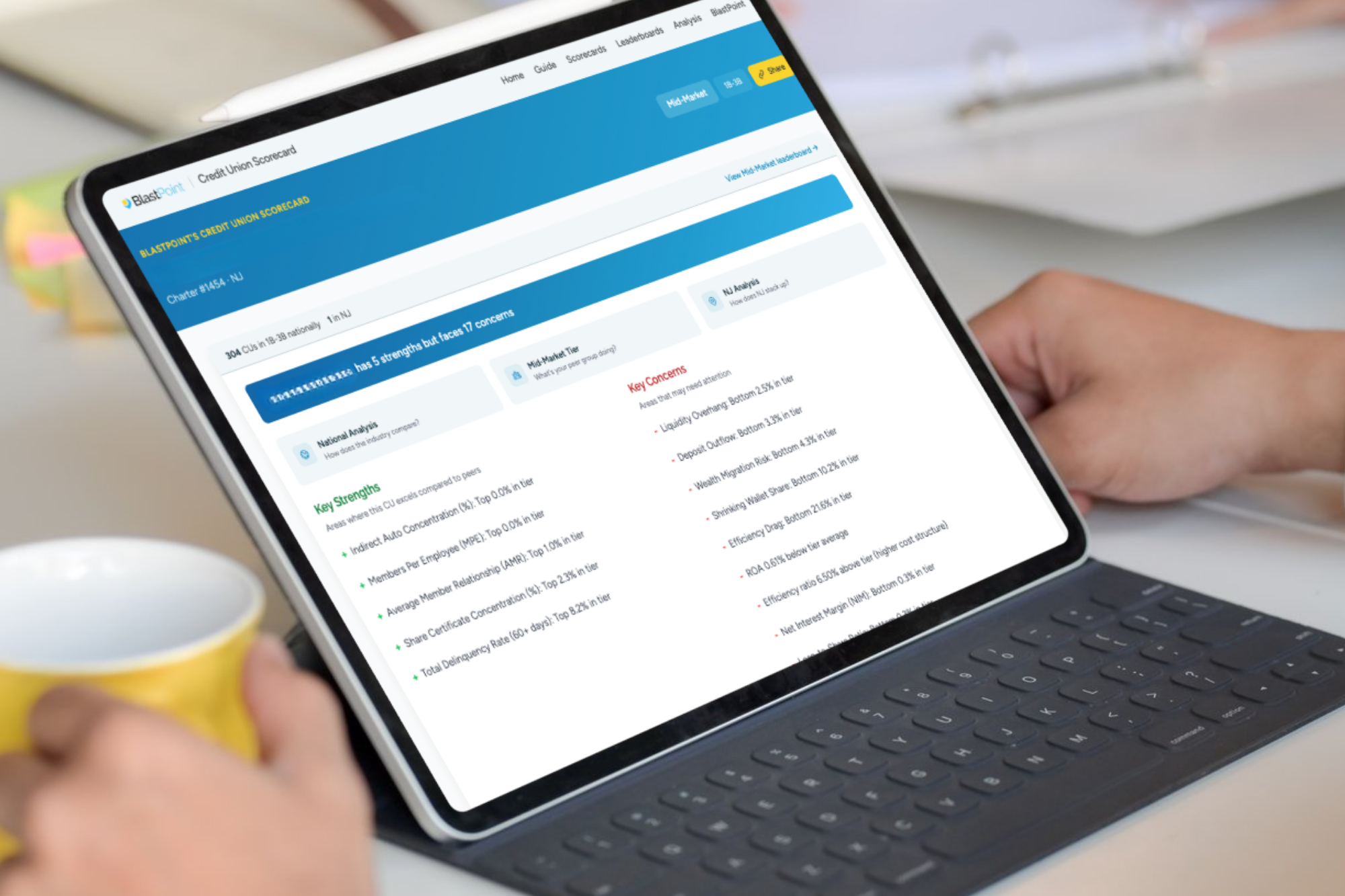 Credit Union Index Scorecard Mockup (6)